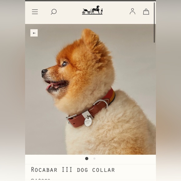 Hermes — dog collar & dog leash SET 🐶 🍊 - Picture 2 of 13